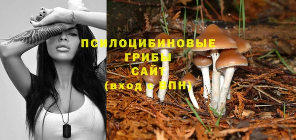 гашик Балахна
