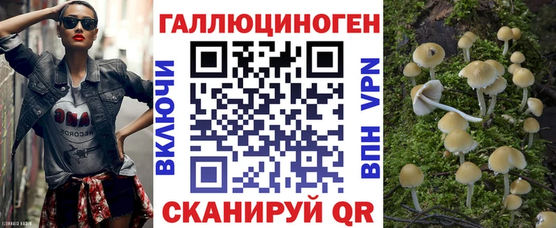 Псилоцибиновые грибы MAGIC MUSHROOMS  закладки  Барыш 