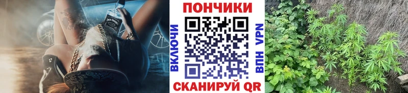 Каннабис семена  дарк нет состав  Барыш 